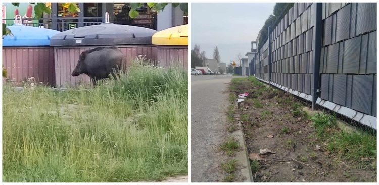 (fot. Radio Gdańsk/Mateusz Czerwiński)