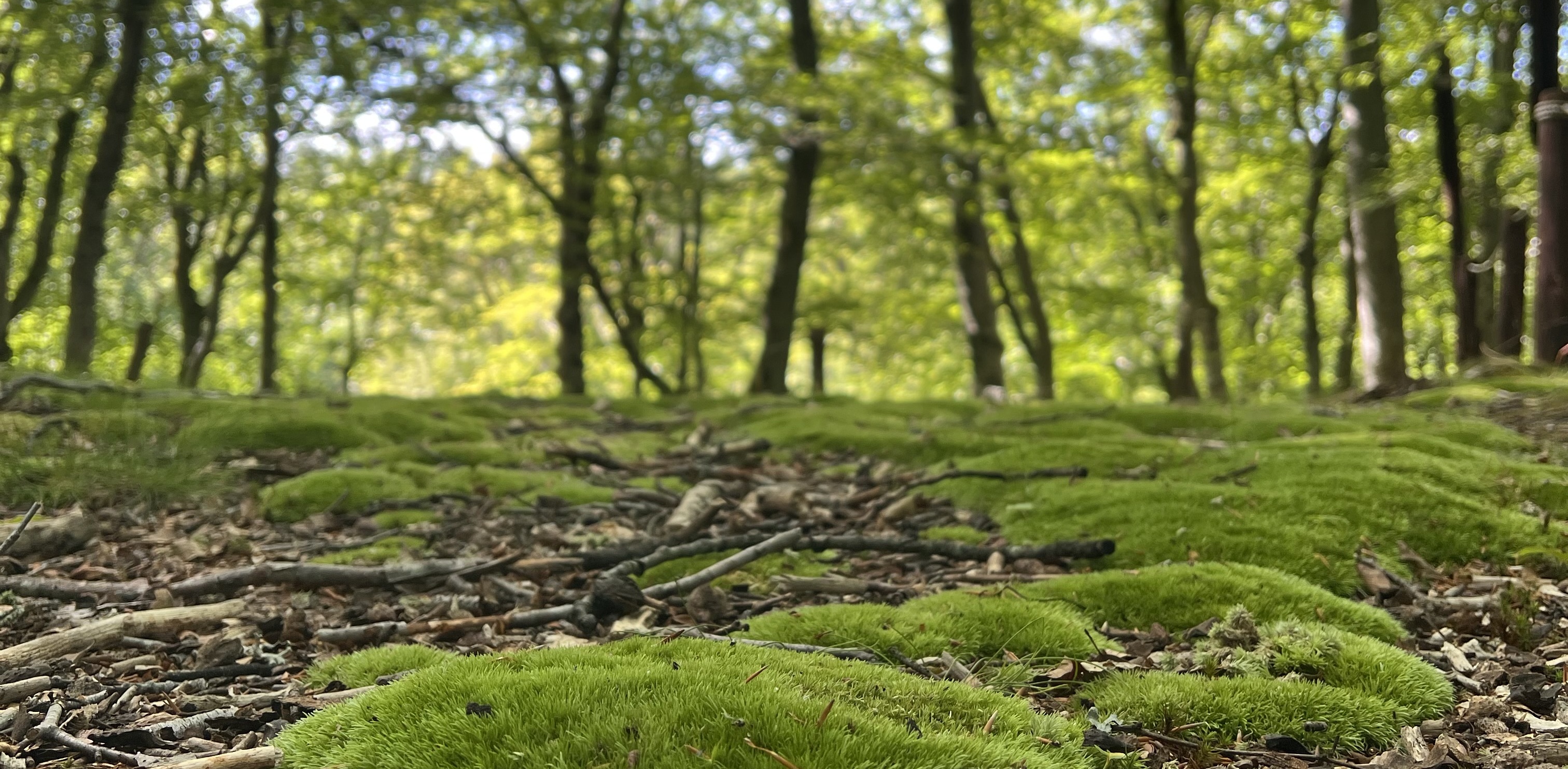 (fot. Radio Gdańsk/Kinga Siwiec)