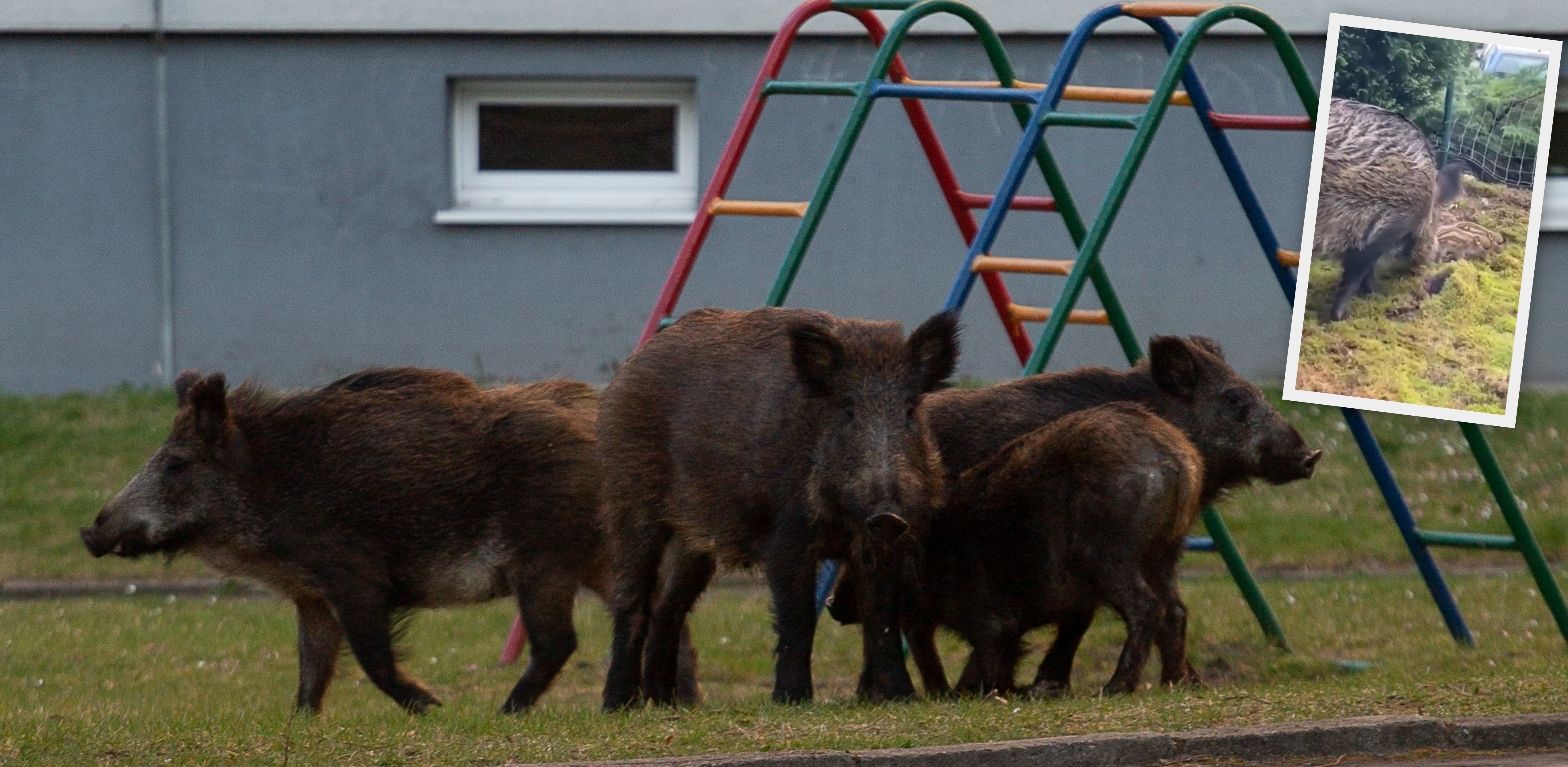 (Fot. Anna Rezulak / KFP)