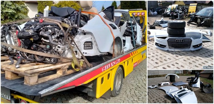 (Fot. Świętokrzyska Policja)