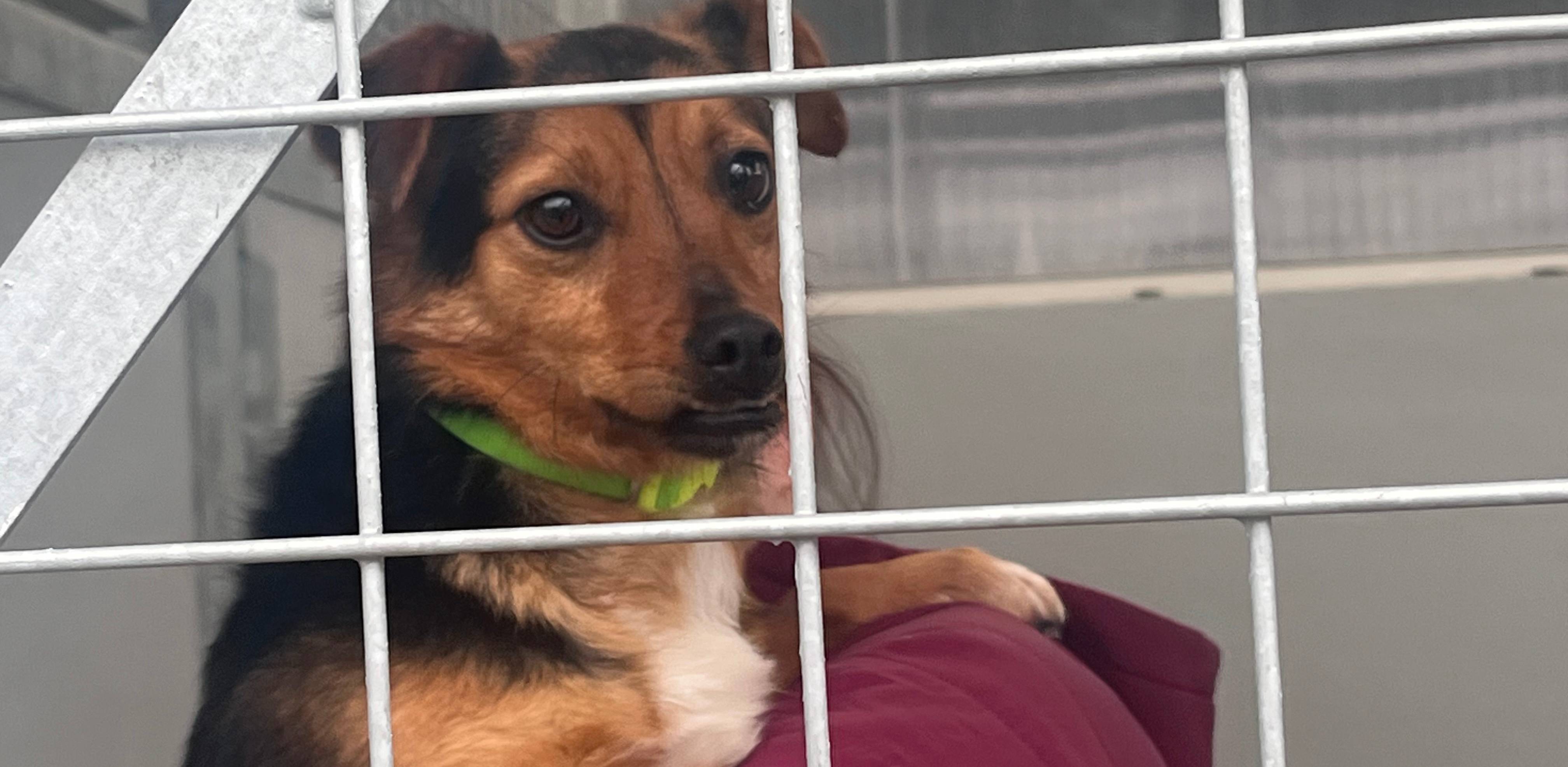 (Fot. Radio Gdańsk/Joanna Merecka-Łotysz)