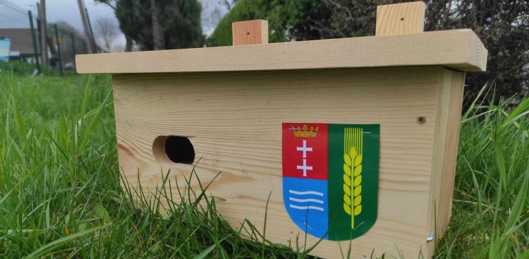 (Fot. Radio Gdańsk/Mateusz Czerwiński)