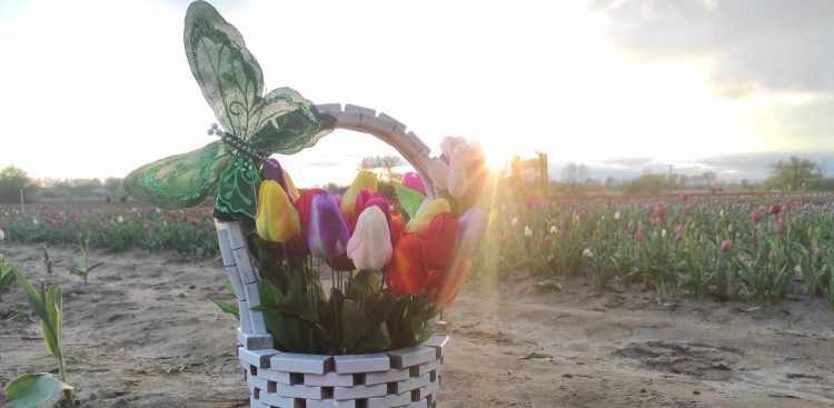 (Fot. Radio Gdańsk/Mateusz Czerwiński)