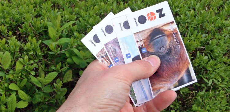 (Fot. Facebook.com/Gdański Ogród Zoologiczny)
