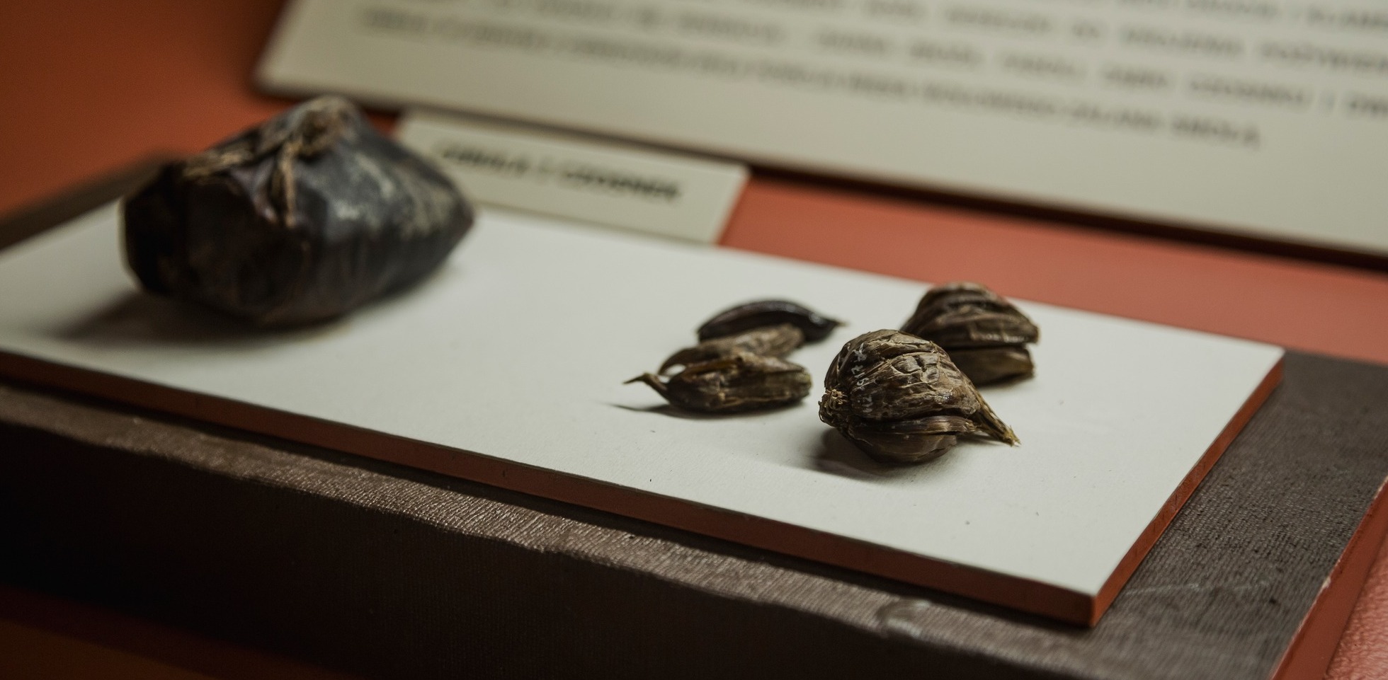 (Fot. NMM/Paweł Jóźwiak)