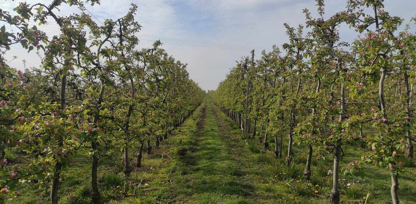 (Fot. Radio Gdańsk/Mateusz Czerwiński)