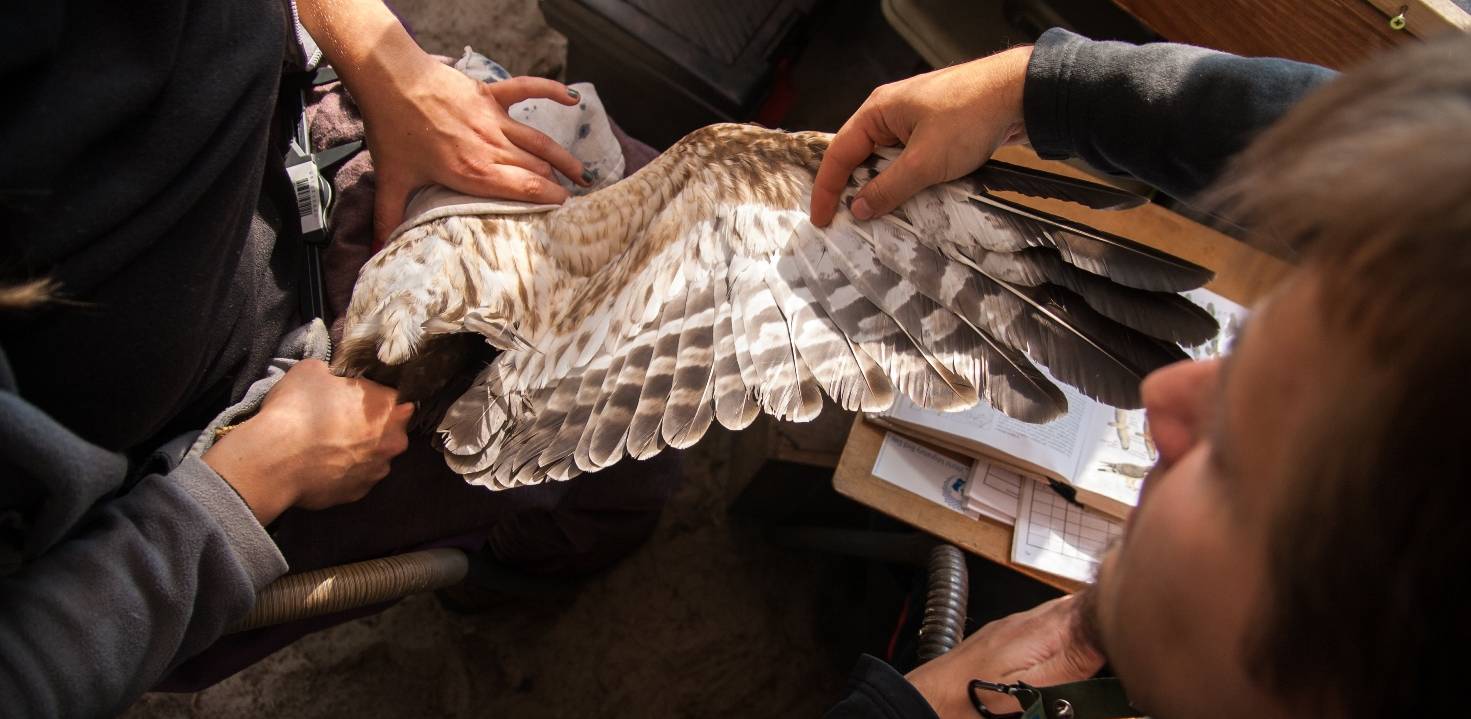 (Fot. mat. pras. Fundacji Akcja Bałtycka)