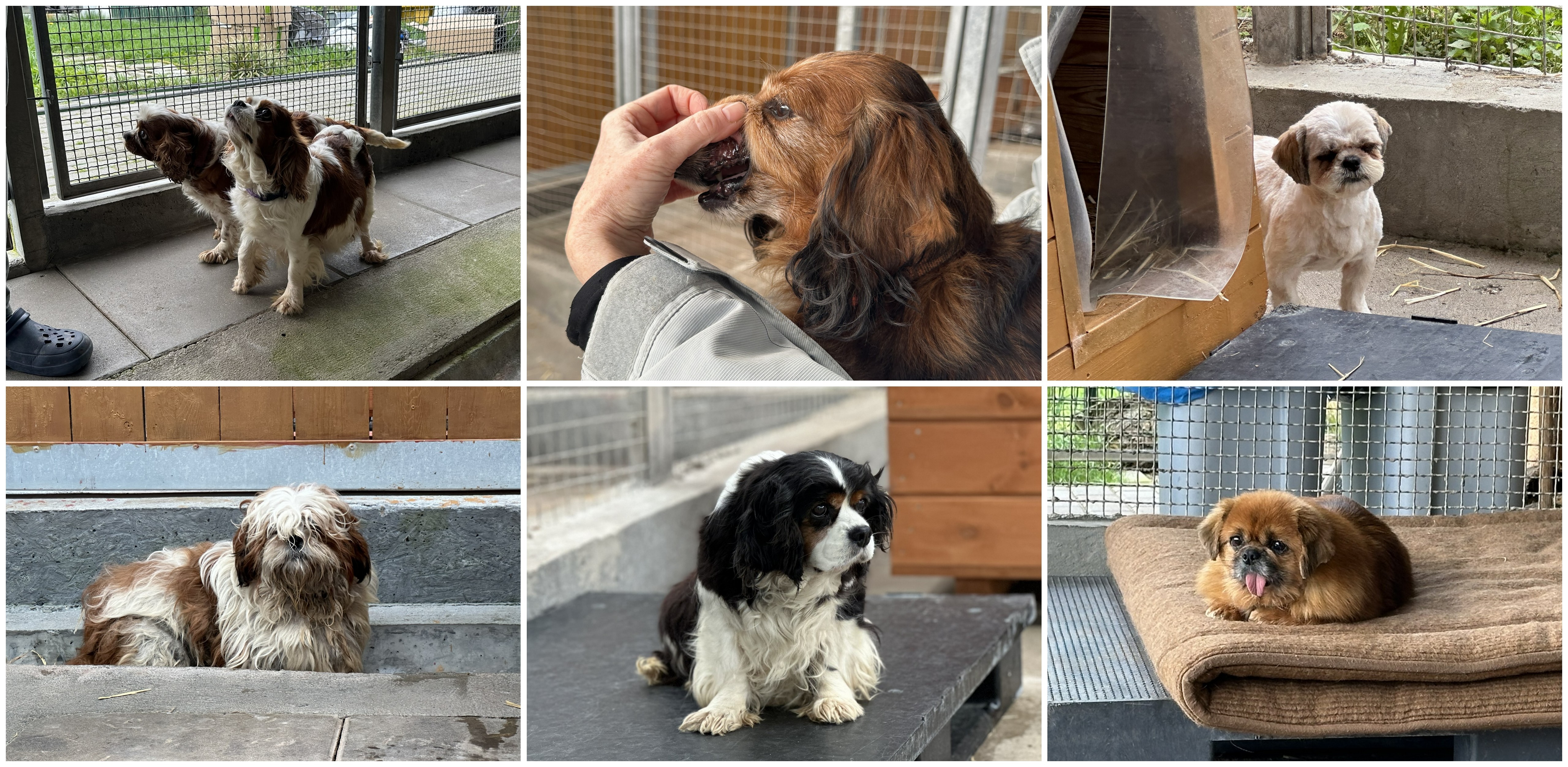 (fot. Radio Gdańsk/Oskar Bąk)