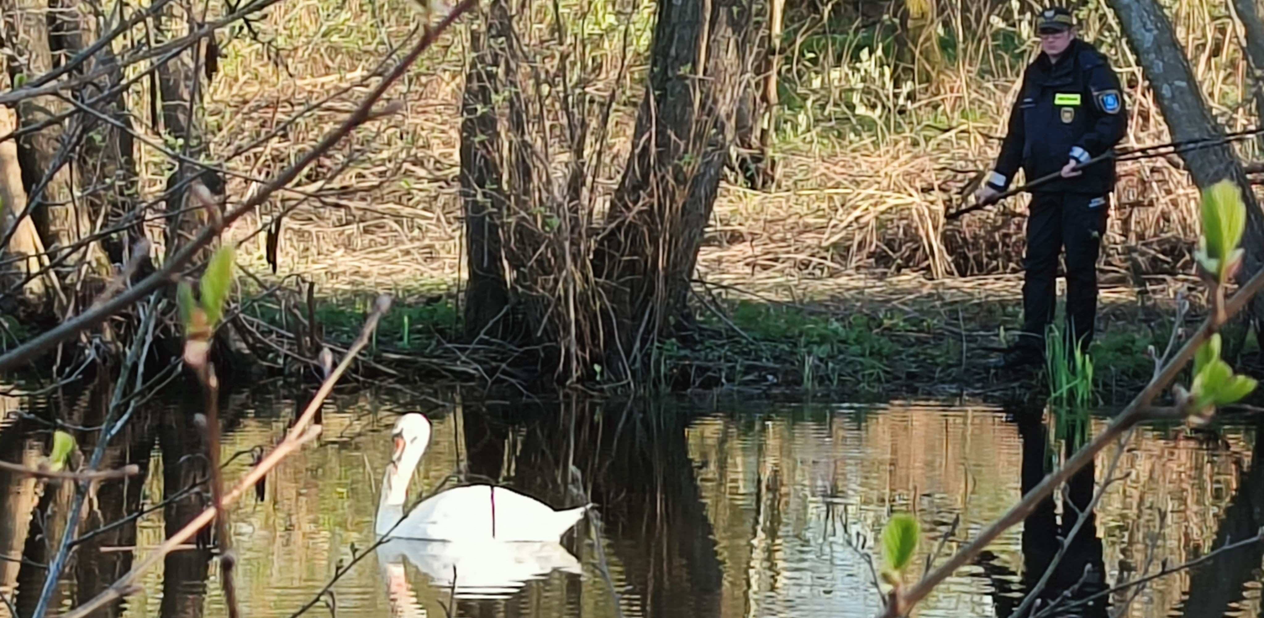 (Fot. sm.wejherowo.pl)