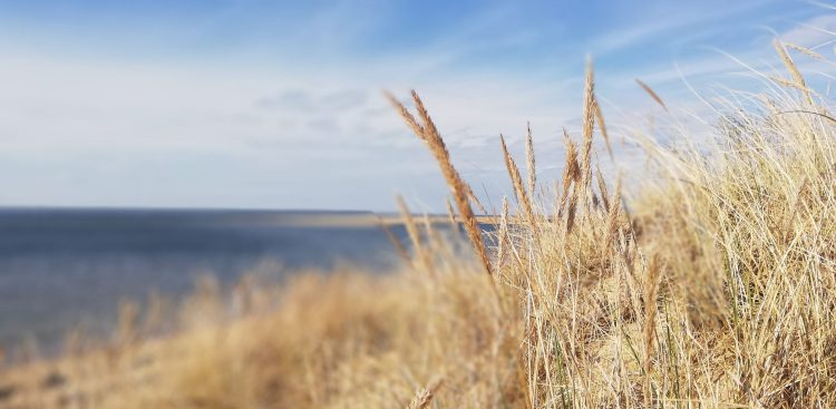 (fot. Radio Gdańsk/Andrzej Urbański)