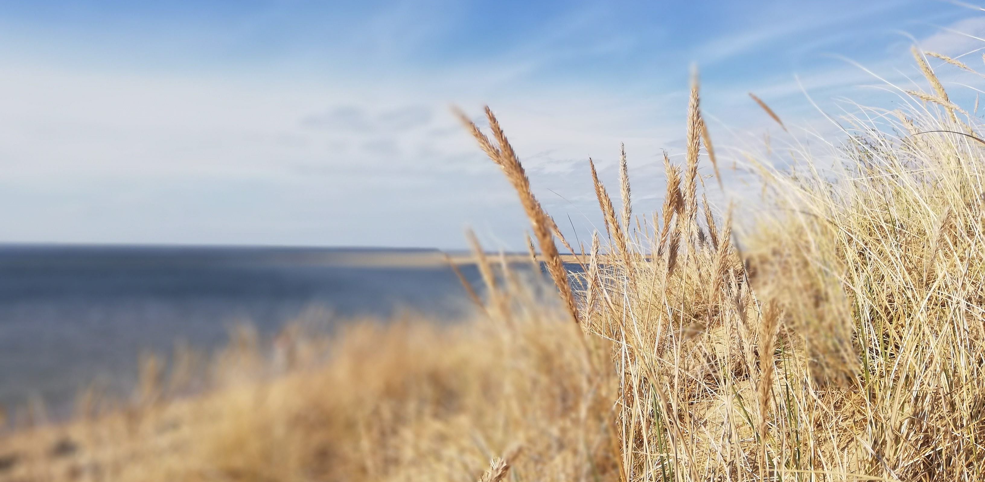 (fot. Radio Gdańsk/Andrzej Urbański)