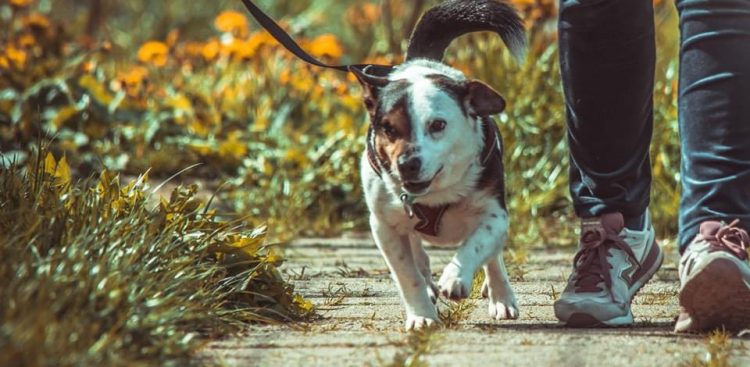 (fot. Kiepski Fotograf)