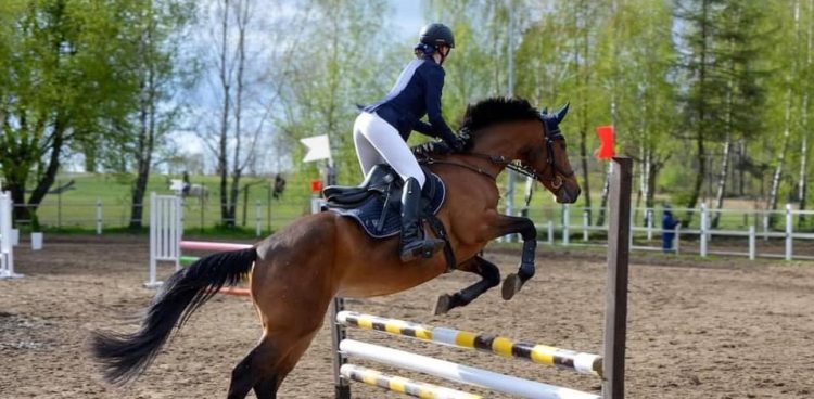 (fot. mat. prasowe organizatora)