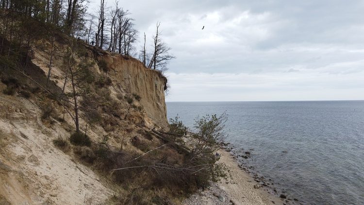 Klif Orłowski (fot. Wikimedia Commons)