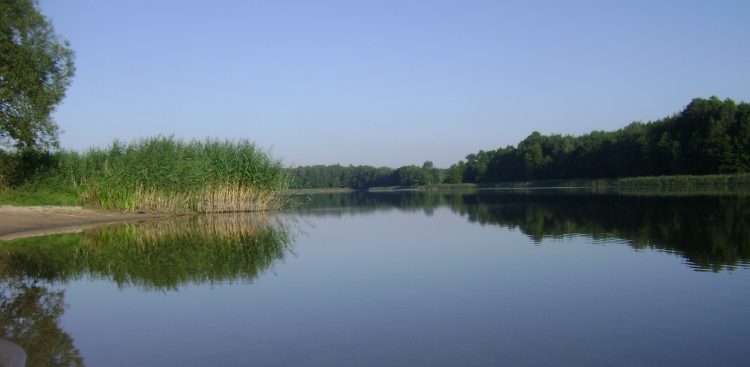 (Fot. wikimedia commons)