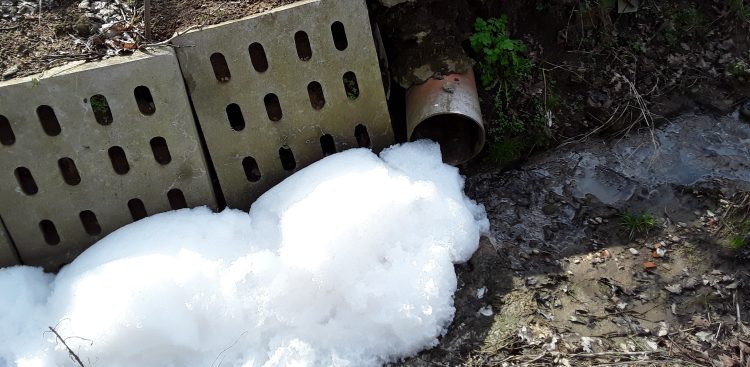 (Fot. WIOŚ w Gdańsku)