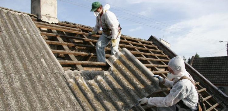 (fot. Gmina Nowy Dwór Gdański)