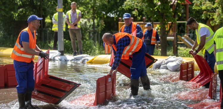 (Fot. Piotr Wittman/gdansk.pl)