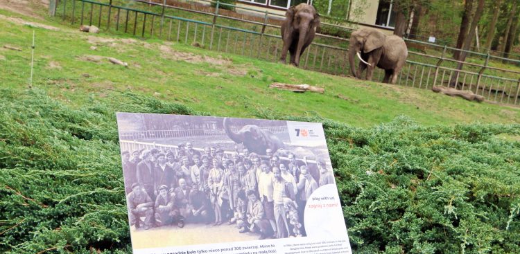 (Fot. materiały prasowe Gdańskiego Ogrodu Zoologicznego)