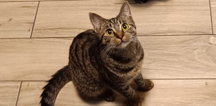 (Fot. Radio Gdańsk/Rafał Korbut)