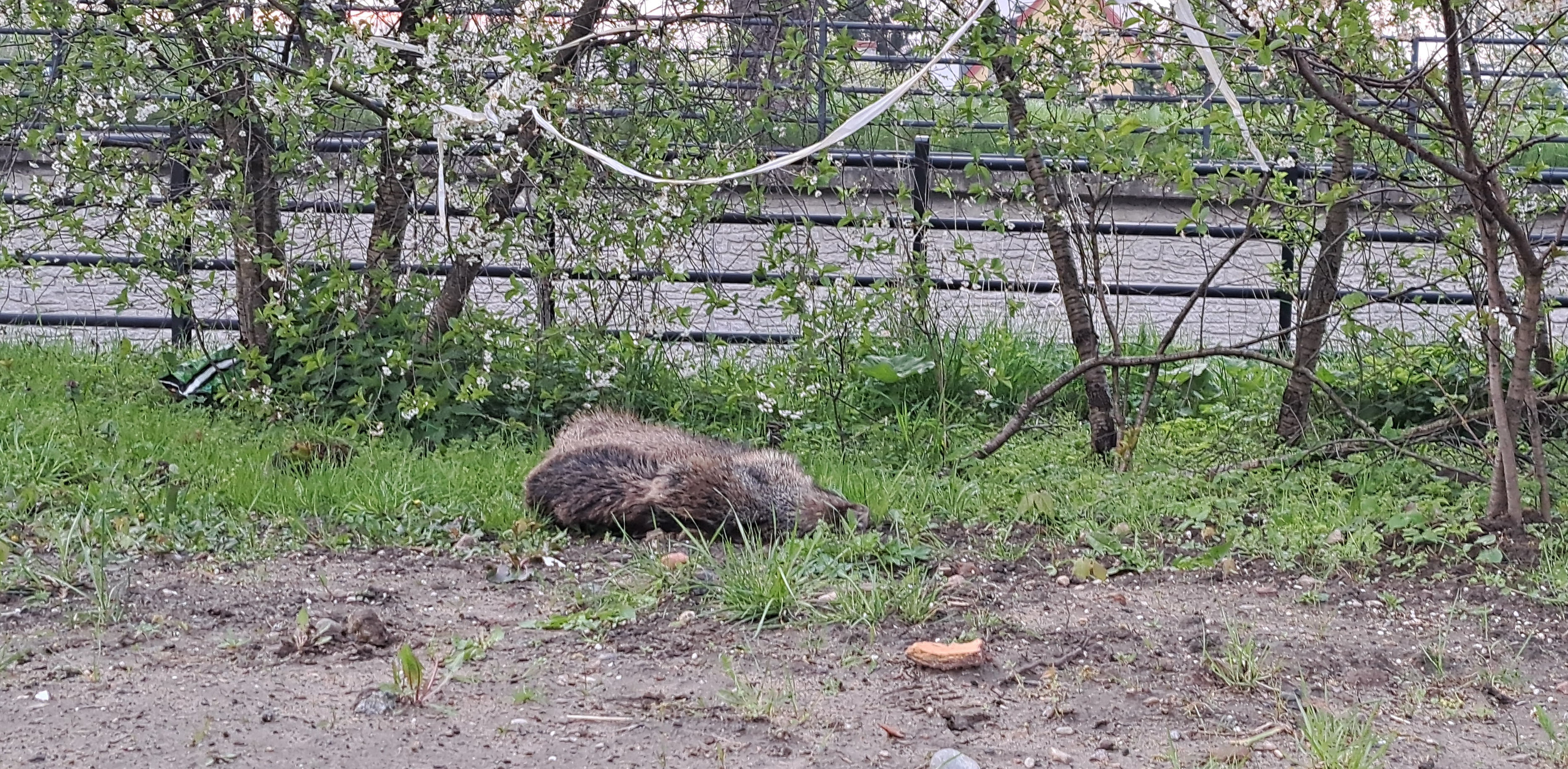 (Fot. Radio Gdańsk/Grzegorz Armatowski)