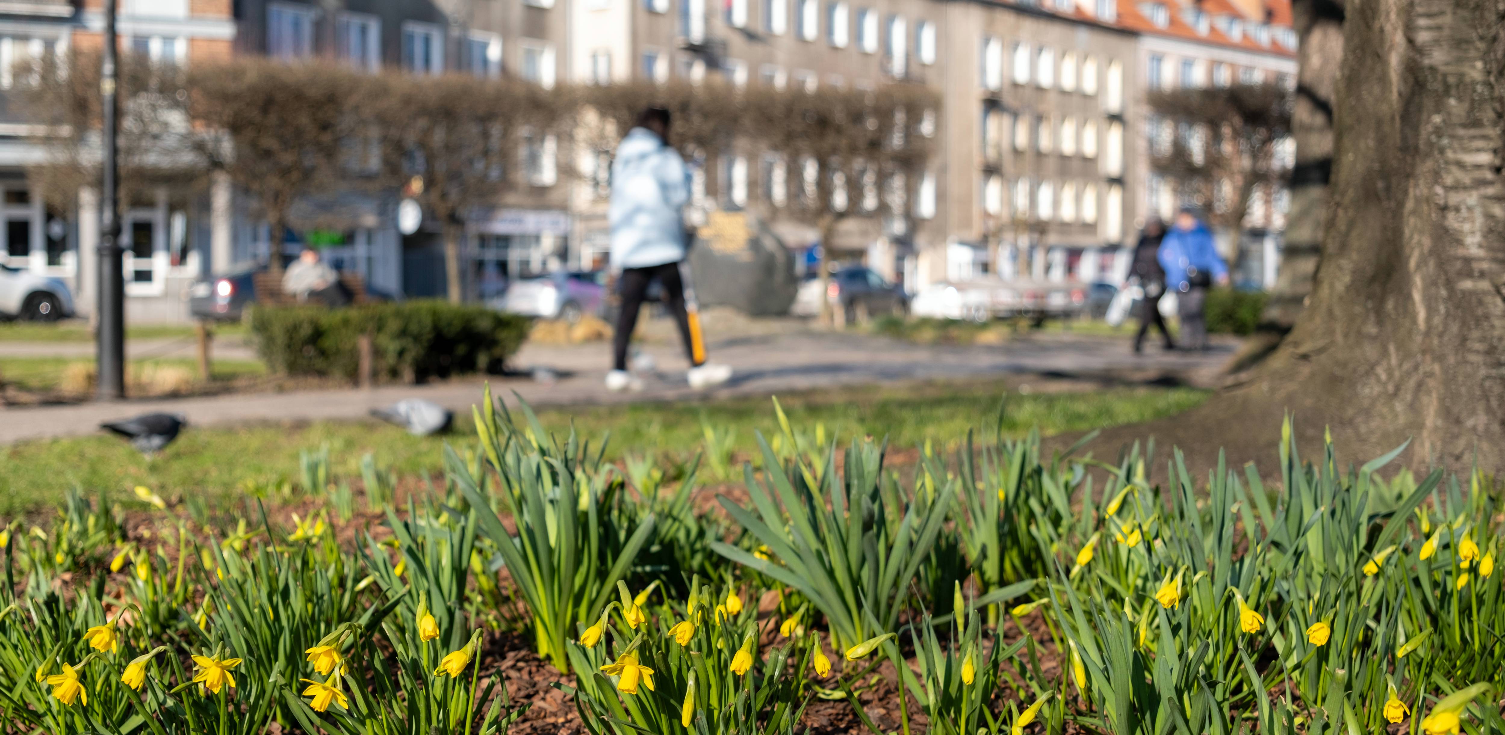 (Fot. Agencja KFP/Anna Rezulak)