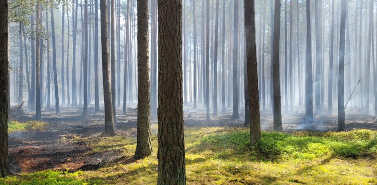 (fot. KM PSP w Chojnicach)