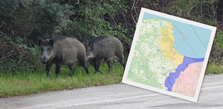 (fot. Wikimedia Commons/Andymos, bip.wetgiw.gov.pl)