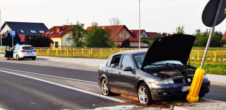 (Fot. B.M. Jasłowski)