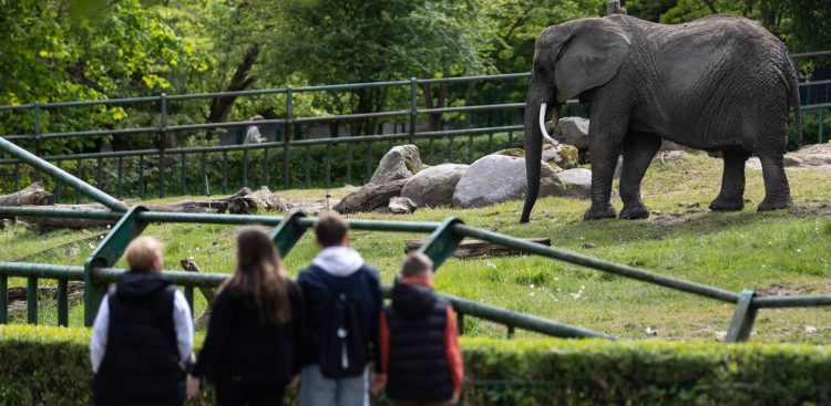 (Fot. Radio Gdańsk/Roman Jocher)