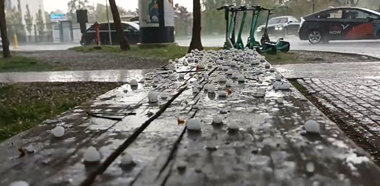 (fot. Radio Gdańsk/Piotr Puchalski)