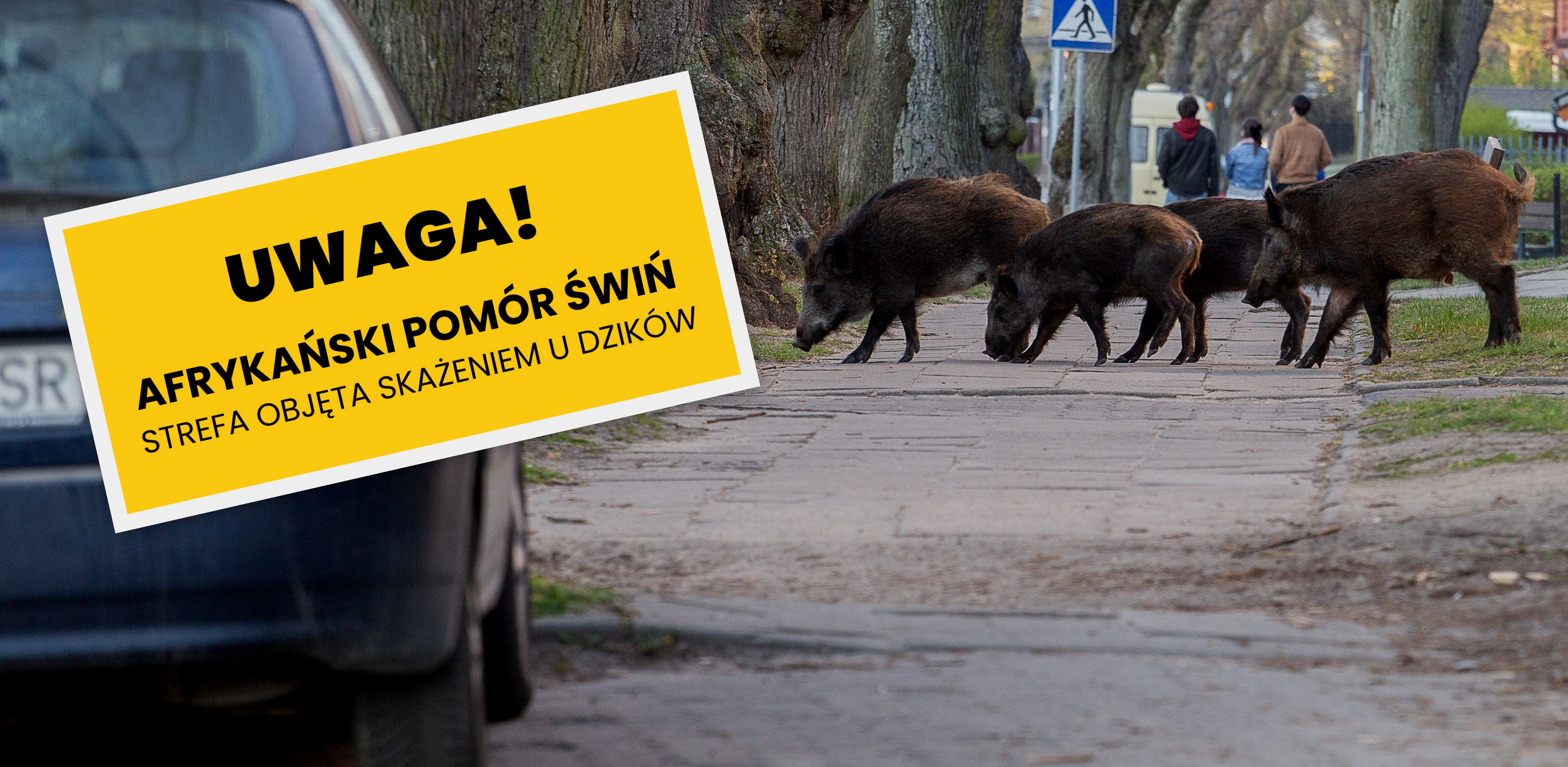 (fot. Agencja KFP/Anna Rezulak)