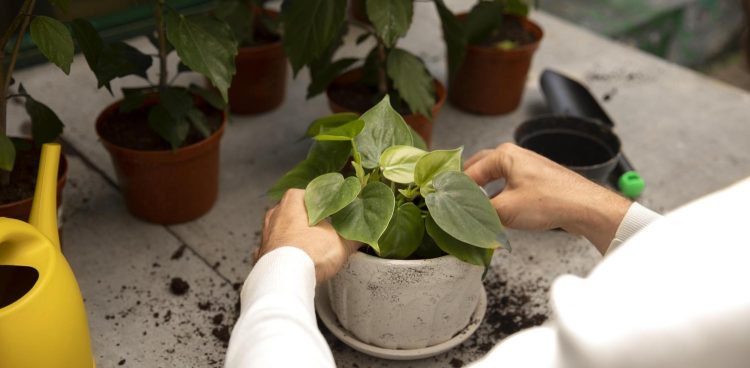 Zdjęcie ilustracyjne (fot. Freepik)