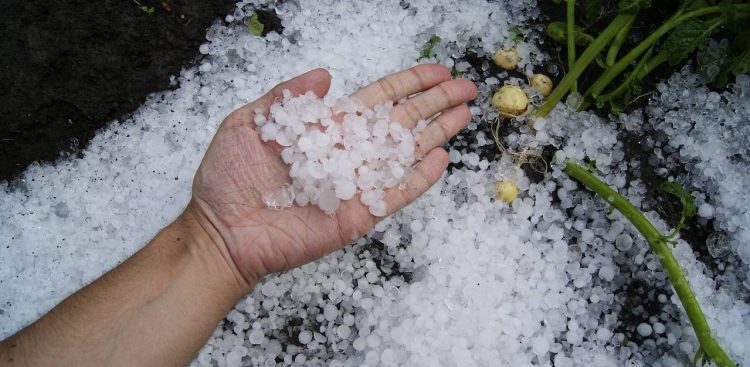 Zdjęcie ilustracyjne. (Fot. pixabay.com)