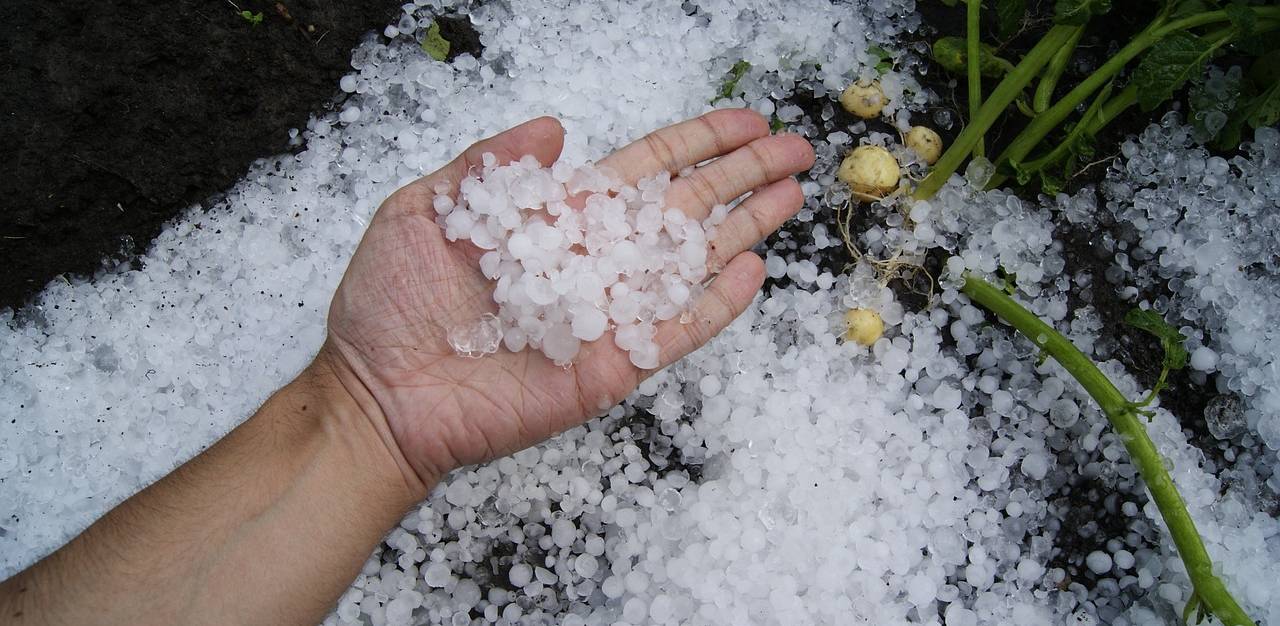 Zdjęcie ilustracyjne. (Fot. pixabay.com)