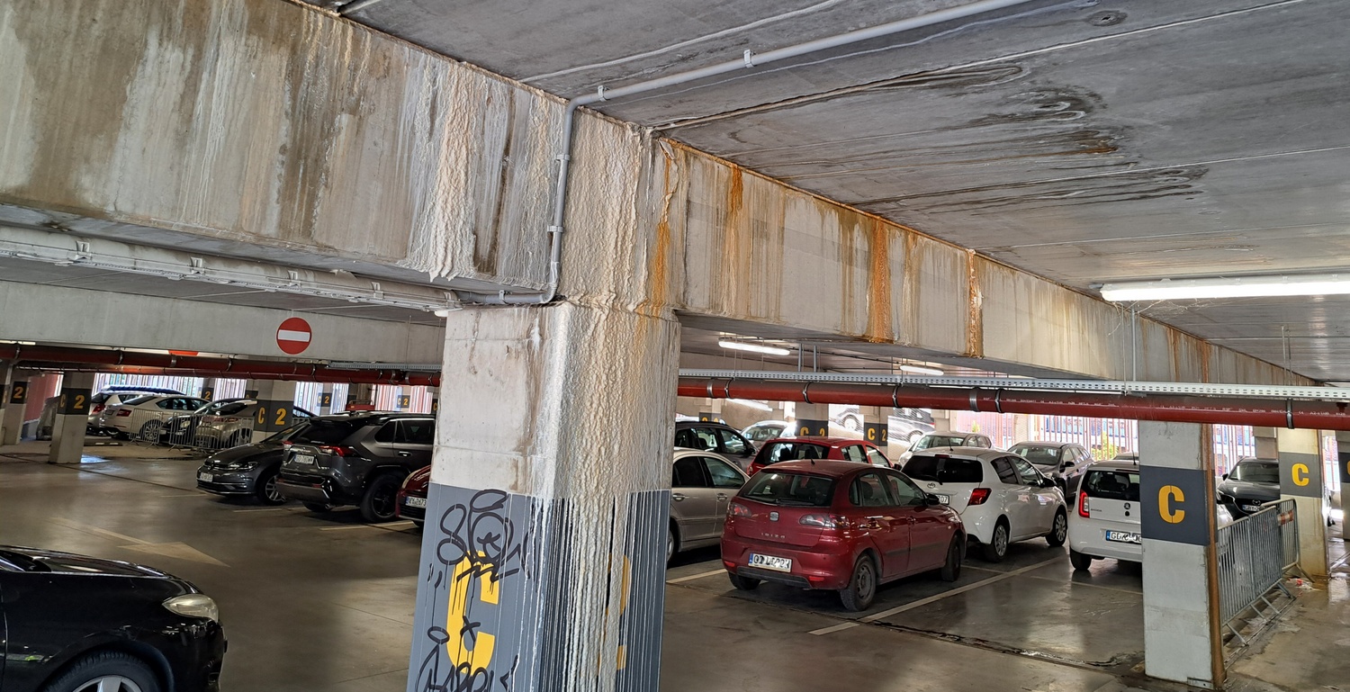 (fot. Radio Gdańsk/Sebastian Kwiatkowski)