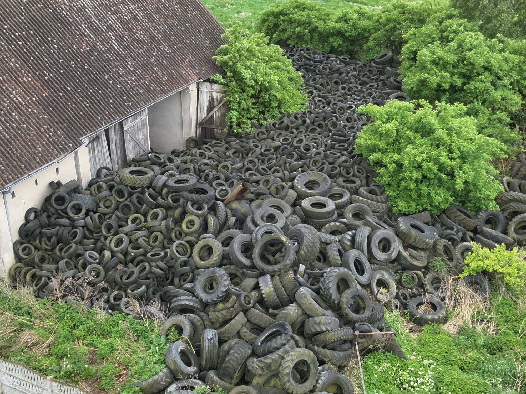 (Fot. WIOŚ w Gdańsku)