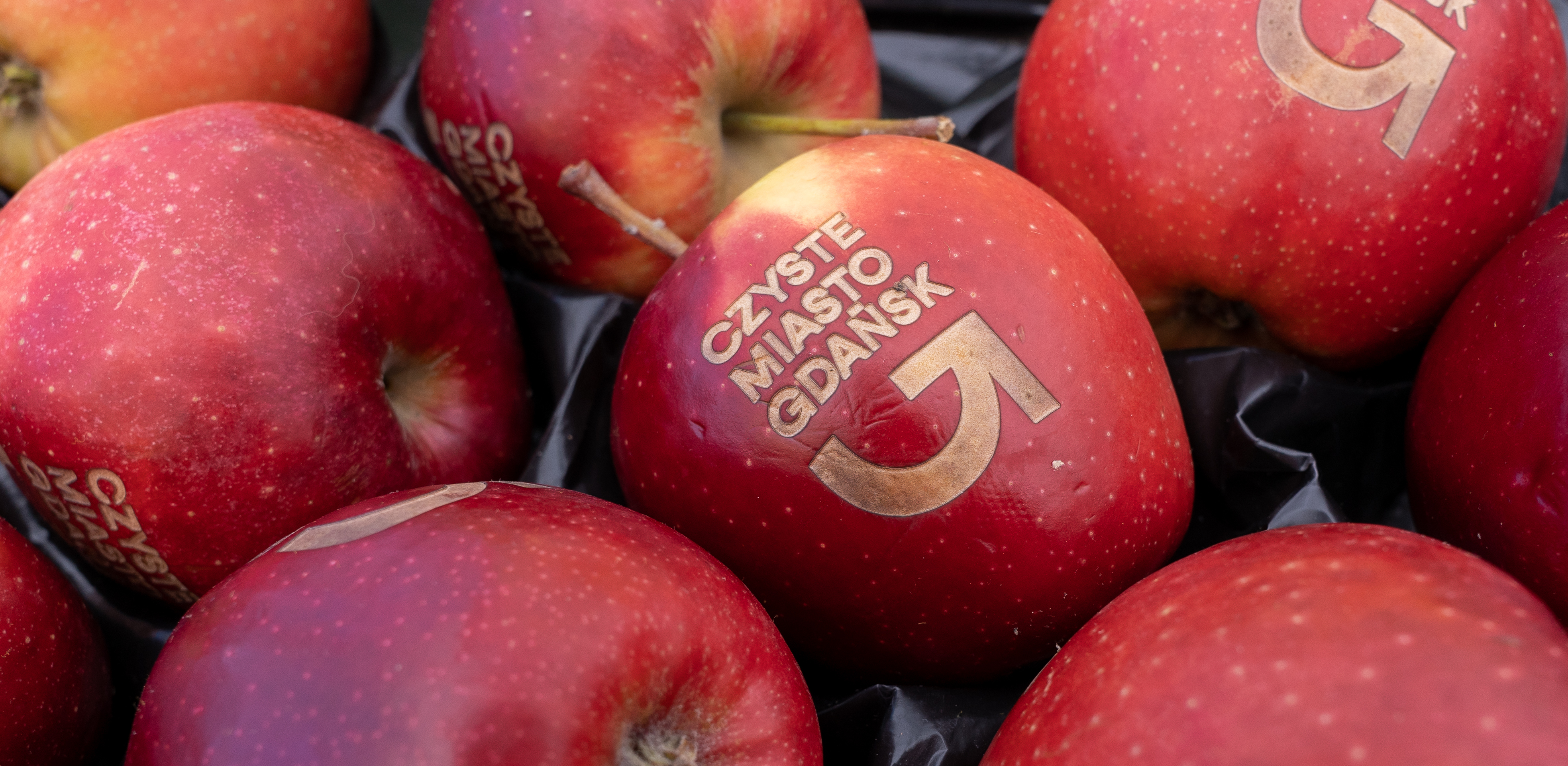 (Fot. Agencja KFP/Paweł Marcinko)