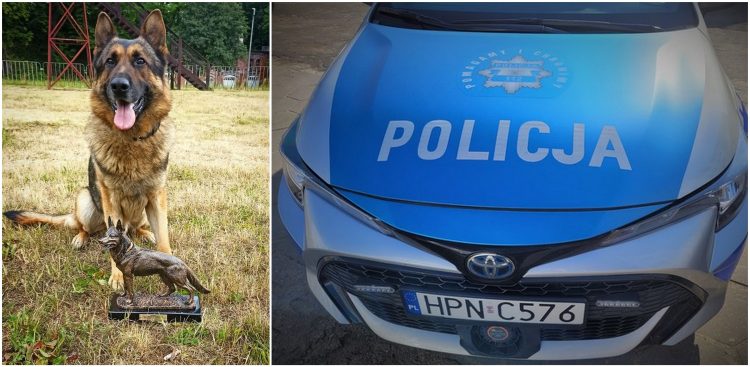 (Fot. pomorska.policja.gov.pl)