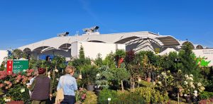 Zdjęcie archiwalne (fot. Radio Gdańsk/Sebastian Kwiatkowski)