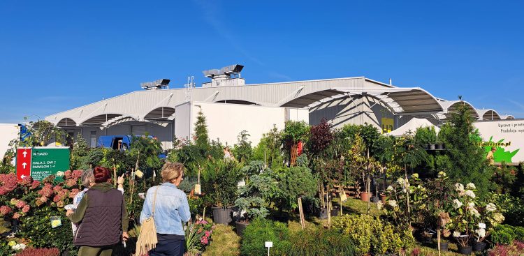 Zdjęcie archiwalne (fot. Radio Gdańsk/Sebastian Kwiatkowski)