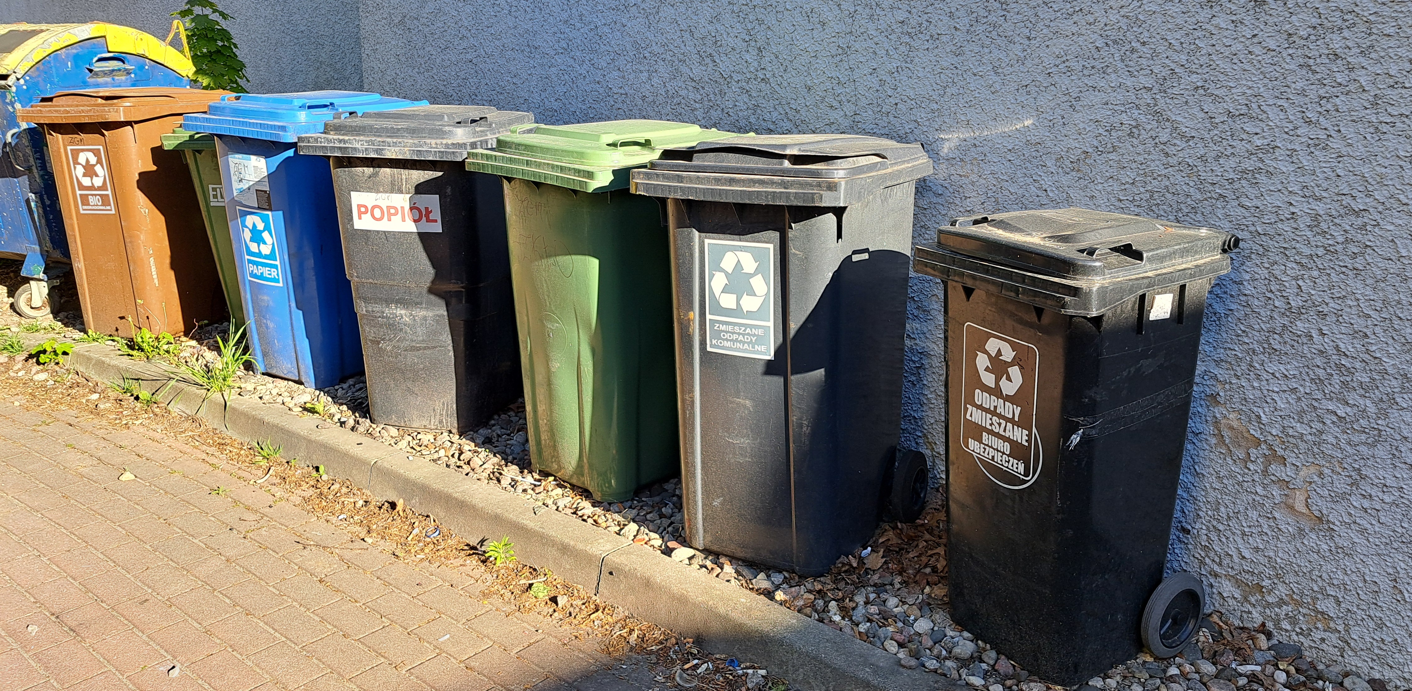 (Fot. Radio Gdańsk/Sebastian Kwiatkowski)