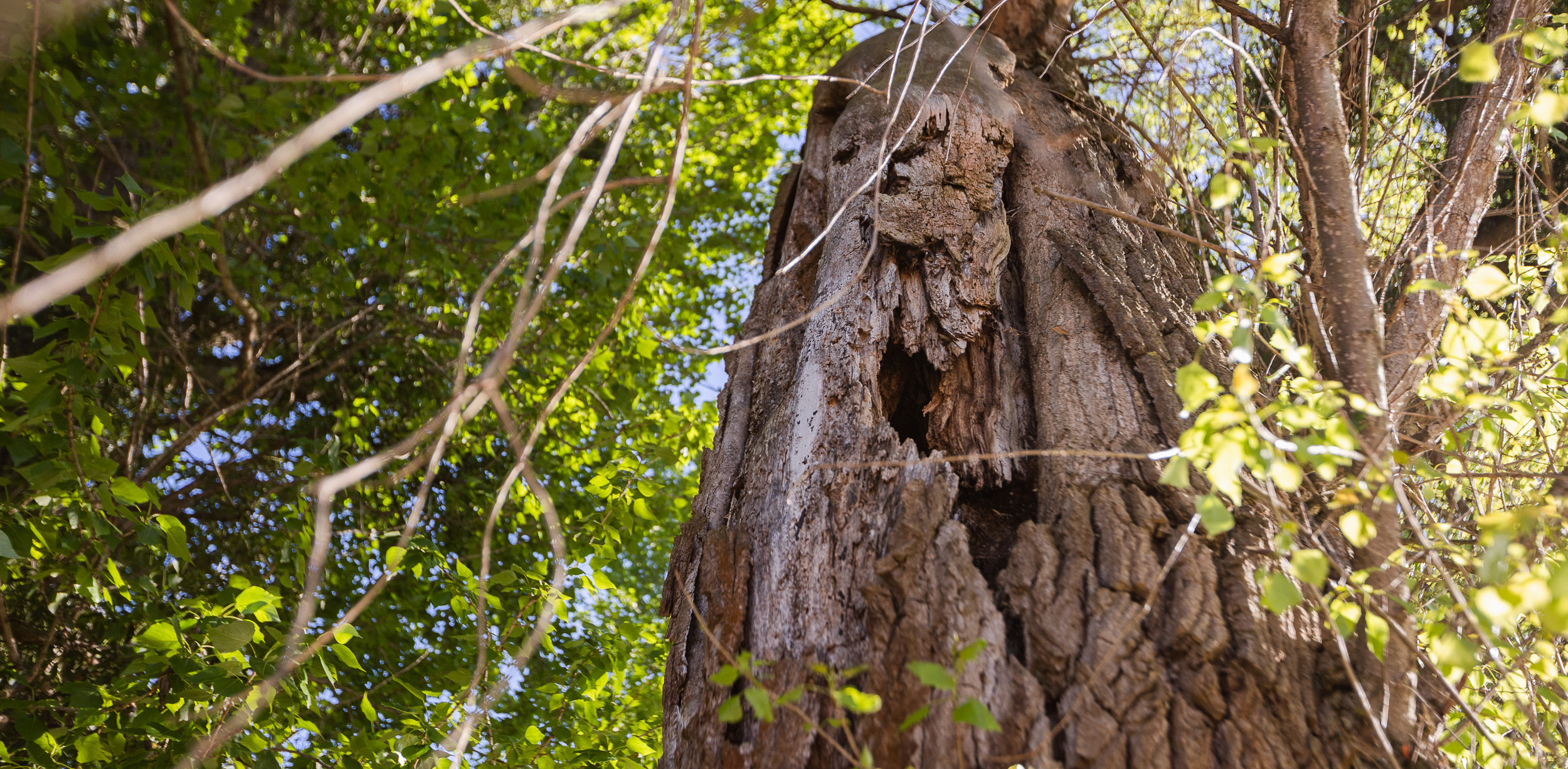 (Fot. GZDiZ/Karol Stańczak)
