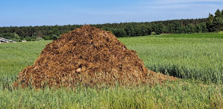 (Fot. Radio Gdańsk/Sebastian Kwiatkowski)