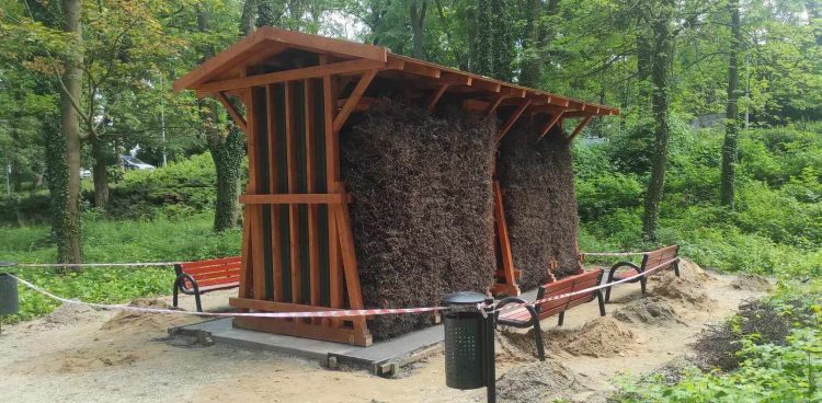 (fot. Radio Gdańsk/Mateusz Czerwiński)