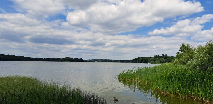 (Fot. Radio Gdańsk/Sebastian Kwiatkowski)