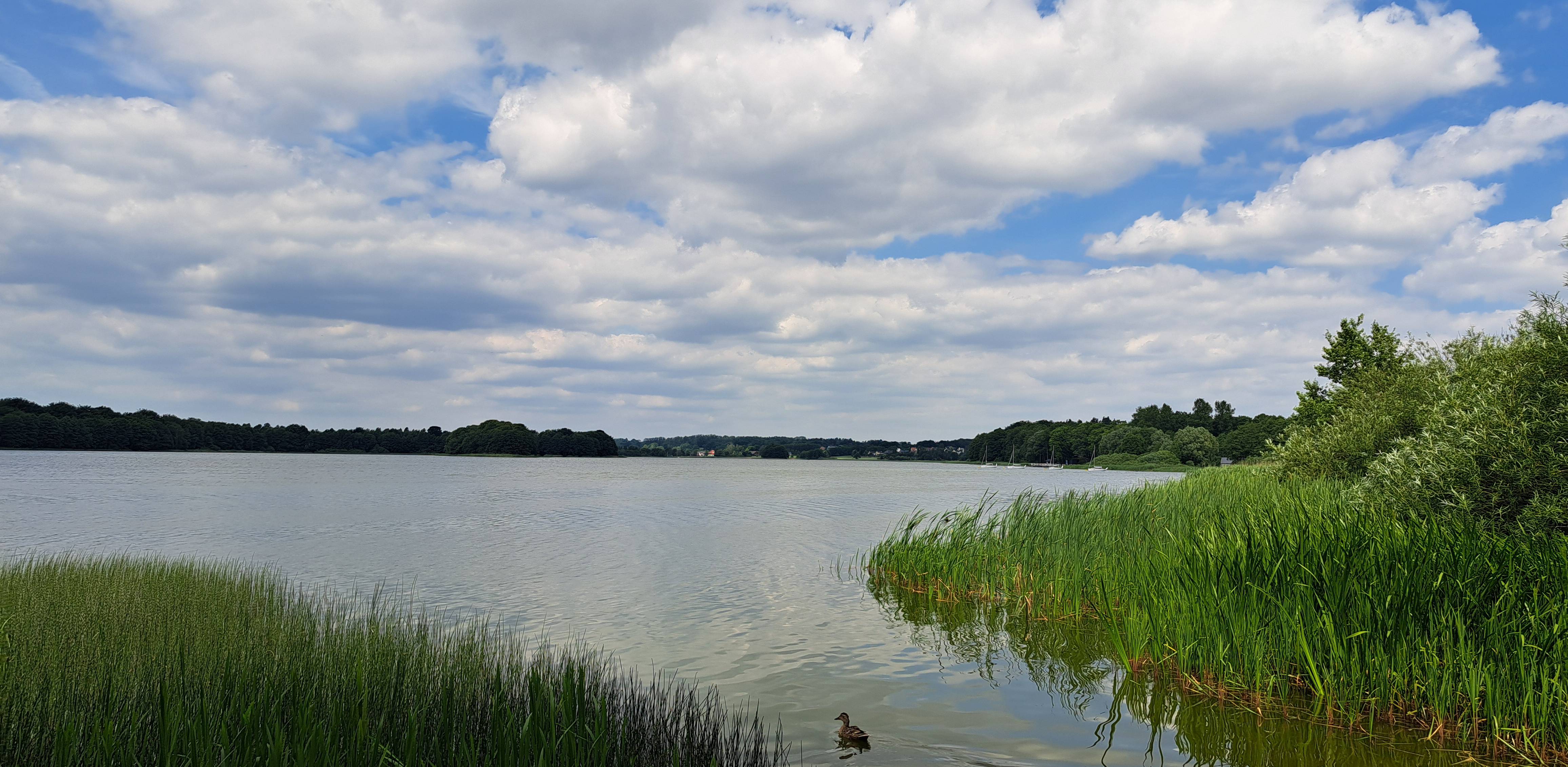 (Fot. Radio Gdańsk/Sebastian Kwiatkowski)