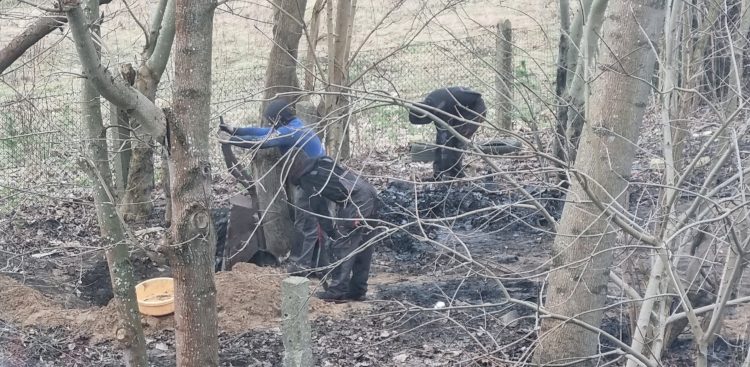 (fot. Wojewódzki Inspektorat Ochrony Środowiska)