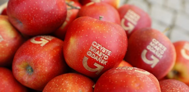 (fot. Dominik Paszliński/gdansk.pl/UM Gdańsk)