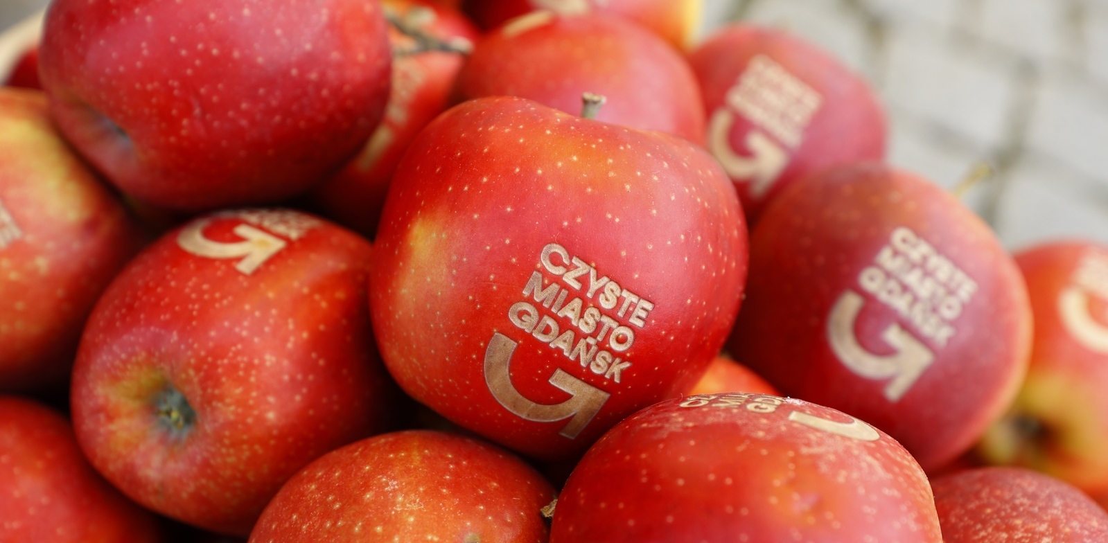 (fot. Dominik Paszliński/gdansk.pl/UM Gdańsk)